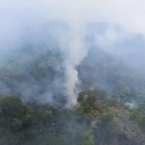 Sin control 3 de los 5 incendios que devoran selva de Los Chimalapas en Oaxaca; nadie los combate